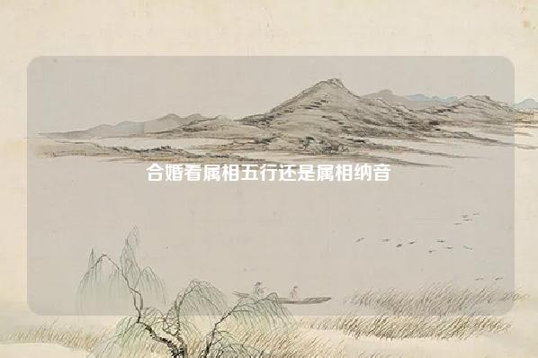 合婚看属相五行还是属相纳音 生肖鸡五行是金纳音 运势 第1张 合婚看属相五行还是属相纳音 生肖鸡五行是金纳音 运势 第1张